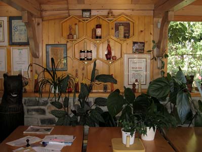 Certified organic beehives in the Slovenian countryside